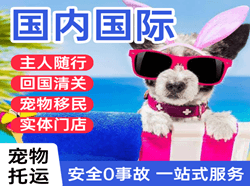 新桥国际宠物托运 【国